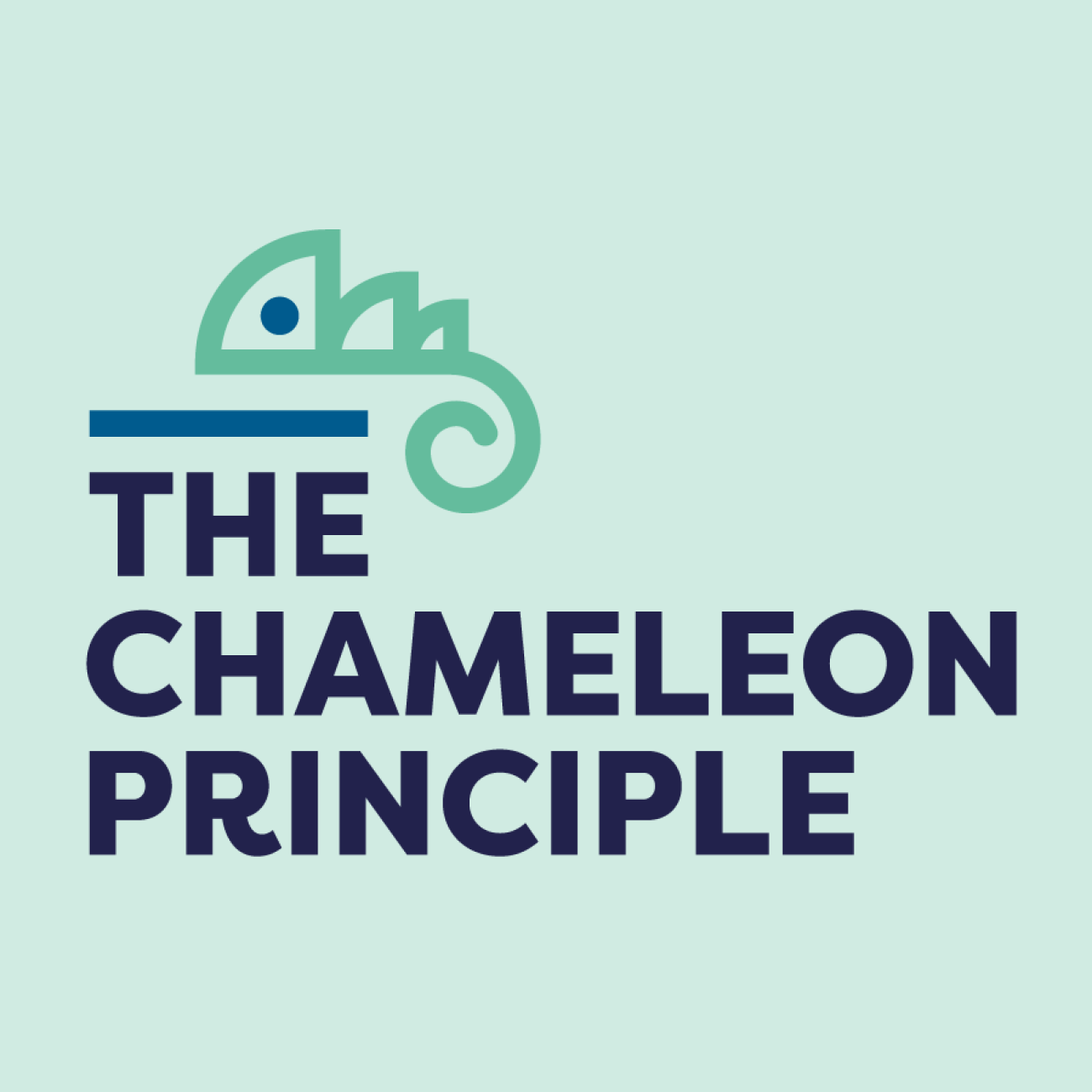 Discover our Chameleon Principle | Expat & Co